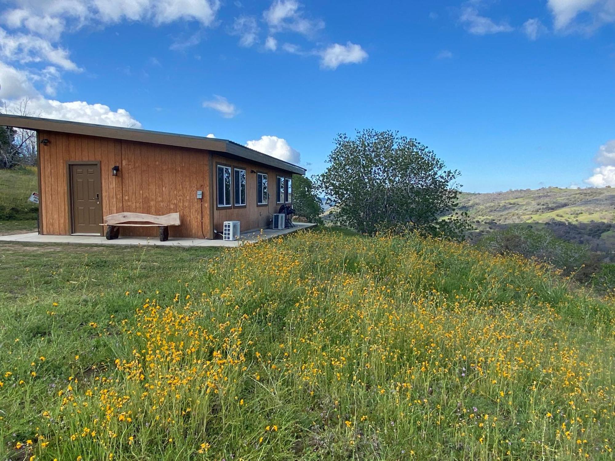 Badger Walnut Cottage מראה חיצוני תמונה